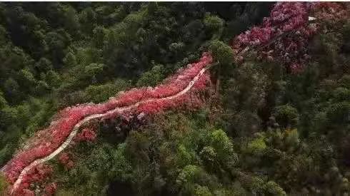 湖南“出圈”的城市不只是网红长沙 还有这几个地方