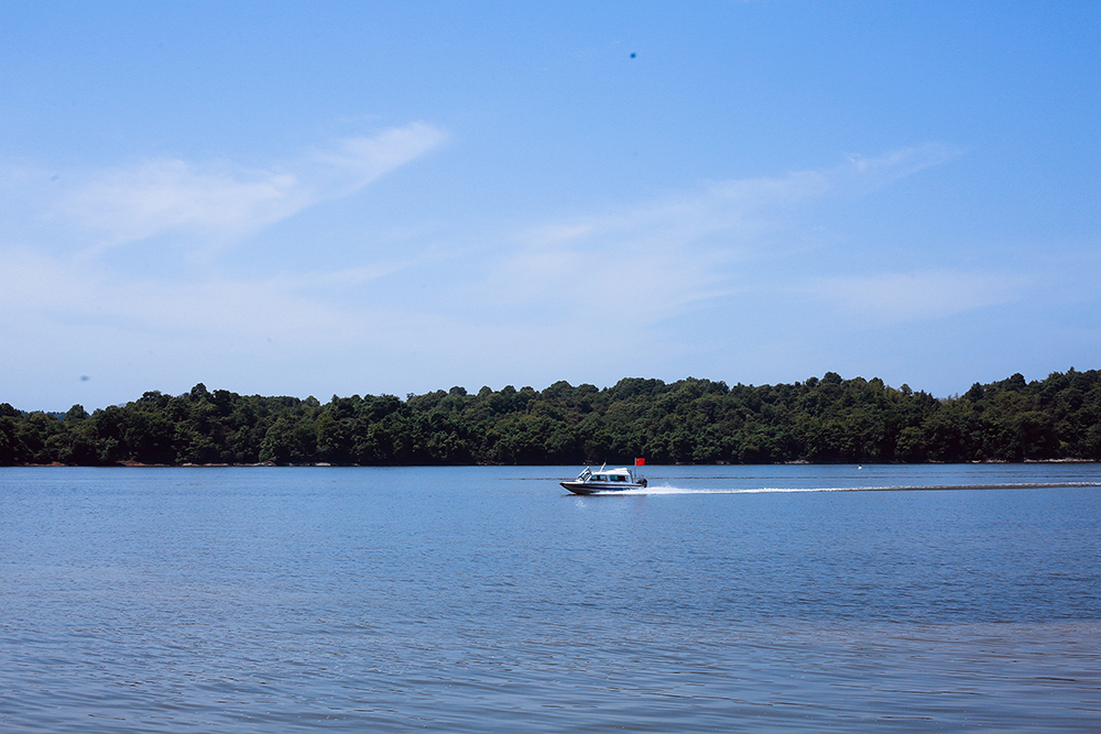 新余仙女湖景区推出多个创意网红体验项目 引爆“五一”假期