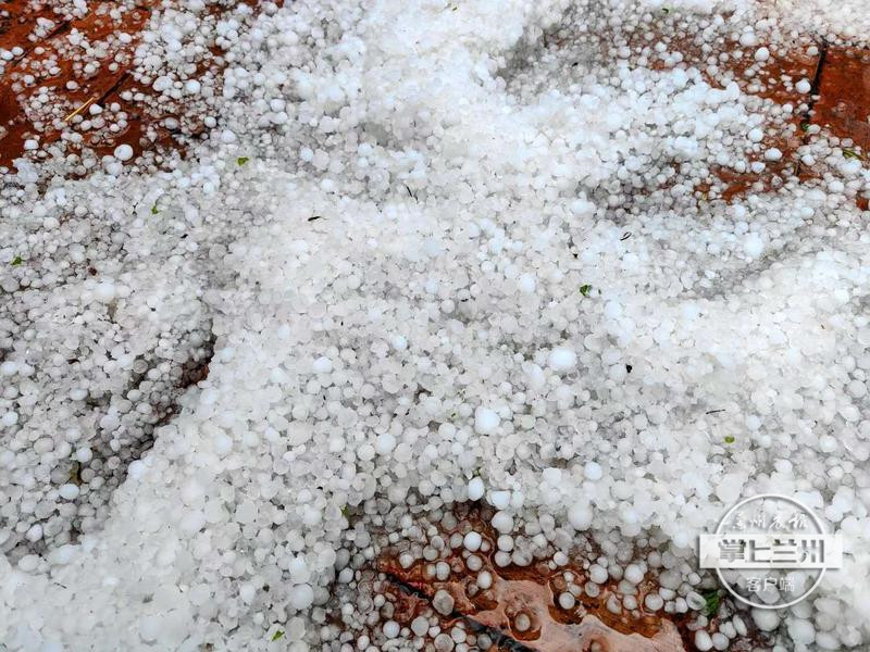 binary_middle (2).jpg