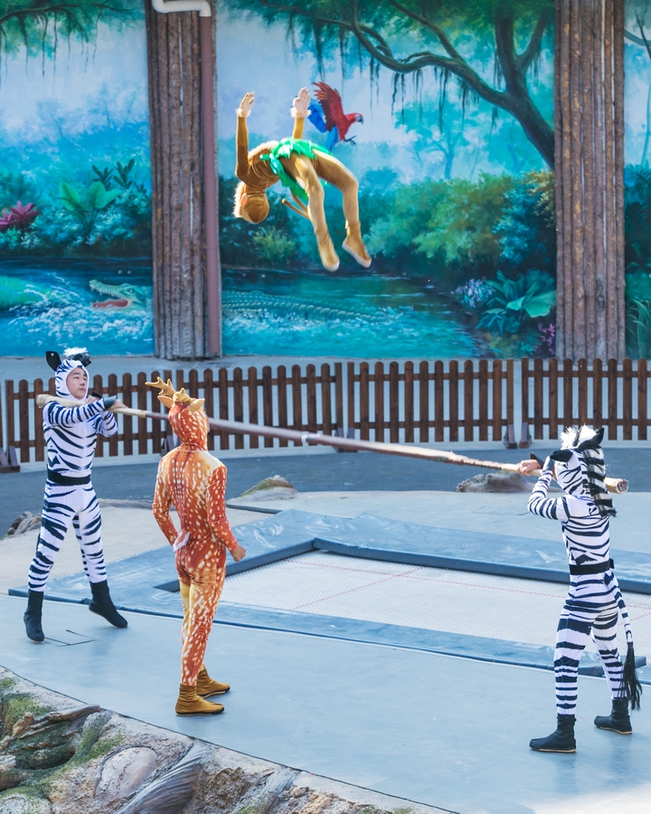 五一迎游客高峰！在泉城欧乐堡度假区欢度精彩假日