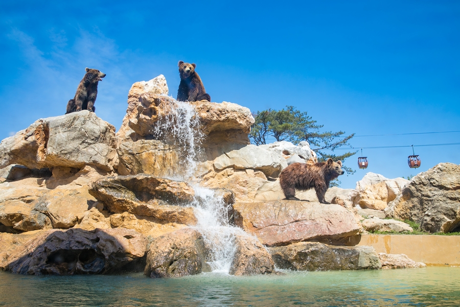 五一迎游客高峰！在泉城欧乐堡度假区欢度精彩假日