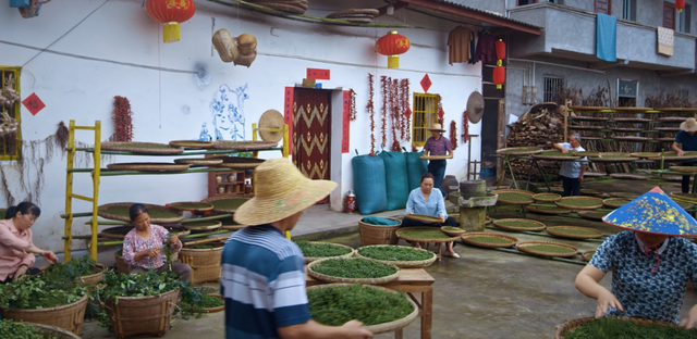 江津区李市镇大桥村村民正在处理采收的花椒。江津融媒体中心供图