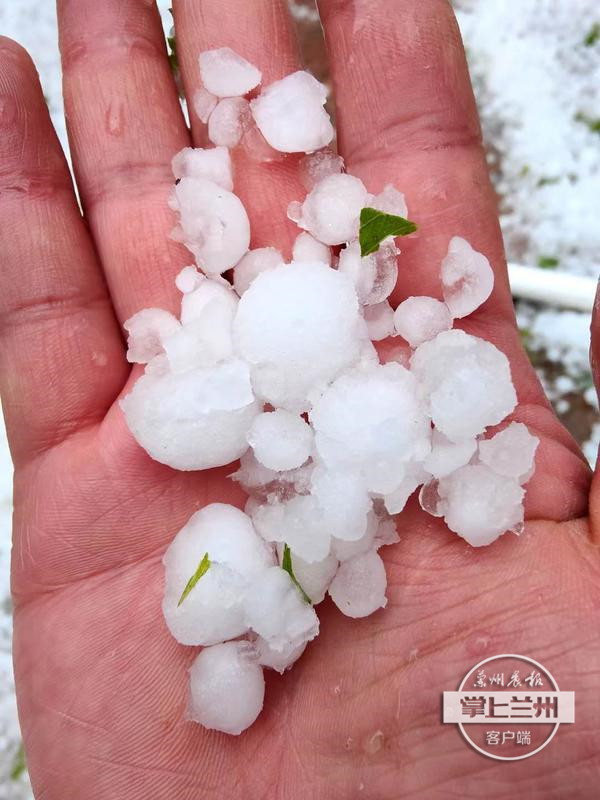 binary_middle (3).jpg