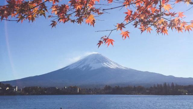 为何日本的性消费文化会繁荣，色情产业会泛滥？