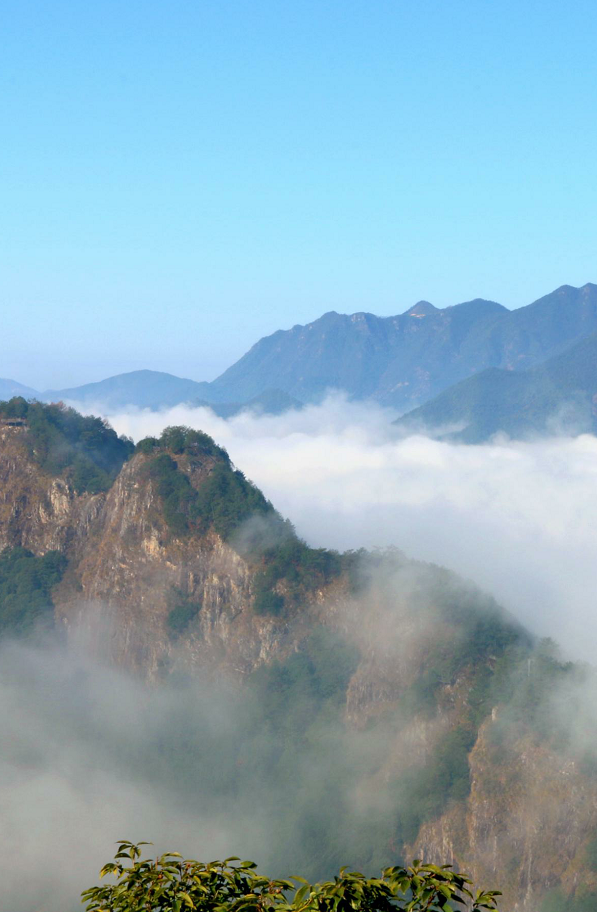 竹林杜鵑石龍山rec毛長森 攝在縣城也能欣賞到雲霧繚繞的仙境慶元