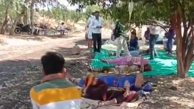 印度农村病人不敢去医院躺在路边输液，吊瓶挂树上