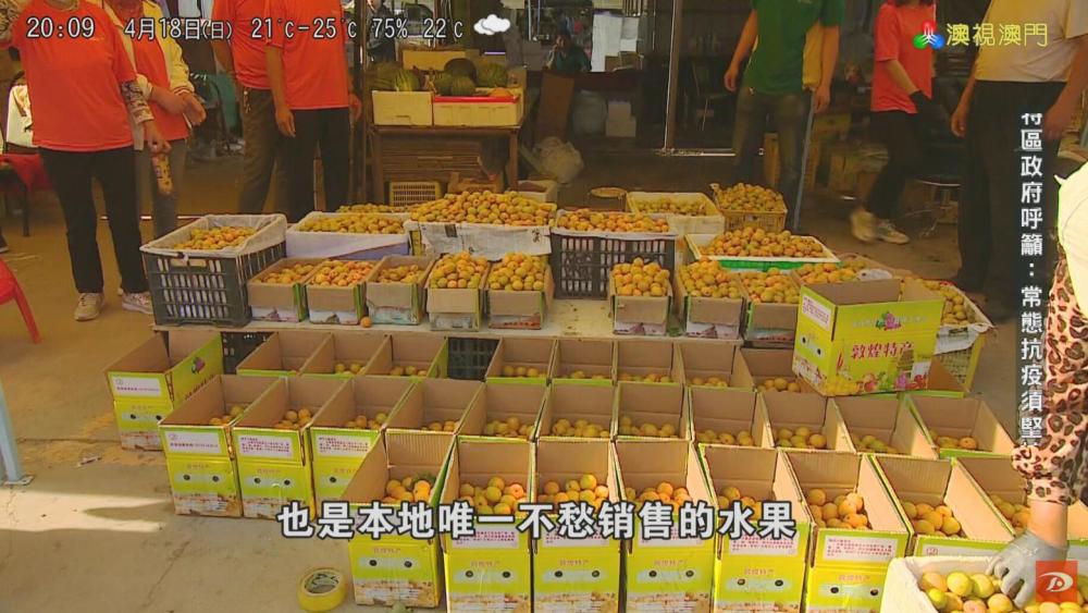 敦煌李广杏纪录片澳门热播 引众赏“丝路味道”