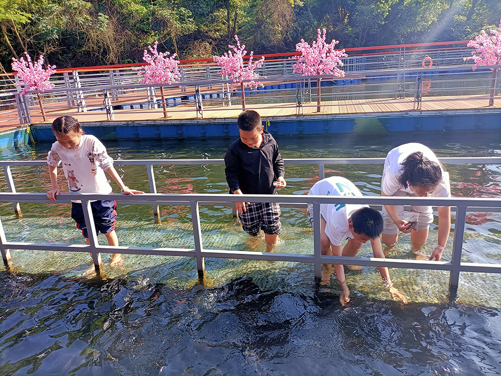 新余仙女湖景区推出多个创意网红体验项目 引爆“五一”假期