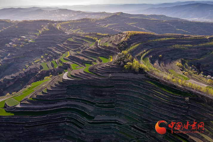 深思细悟学党史 庄浪县笃行实干担使命