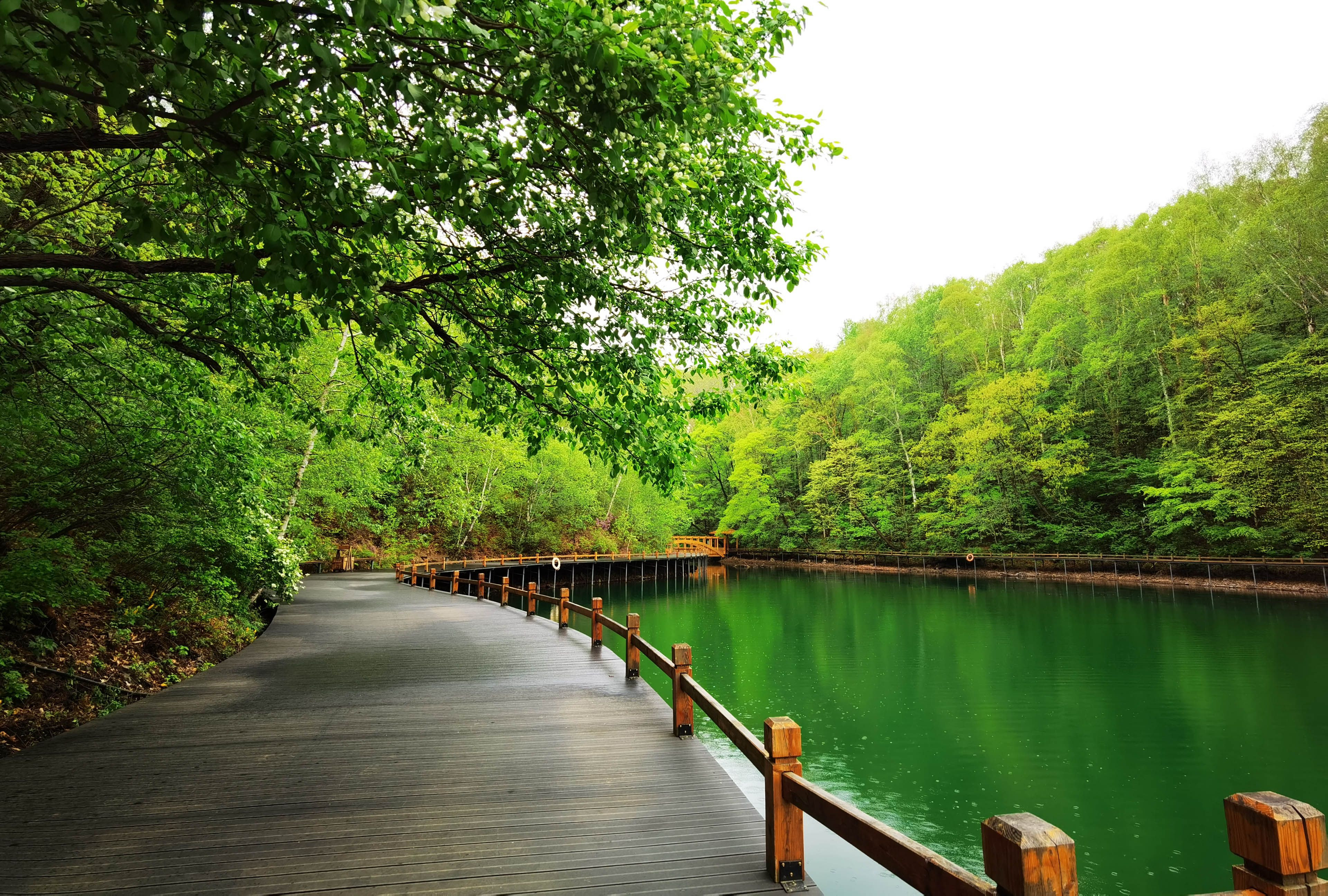 感受辉南红色文化赏尽龙湾杜鹃之美2021吉林龙湾野生杜鹃花卉旅游节8