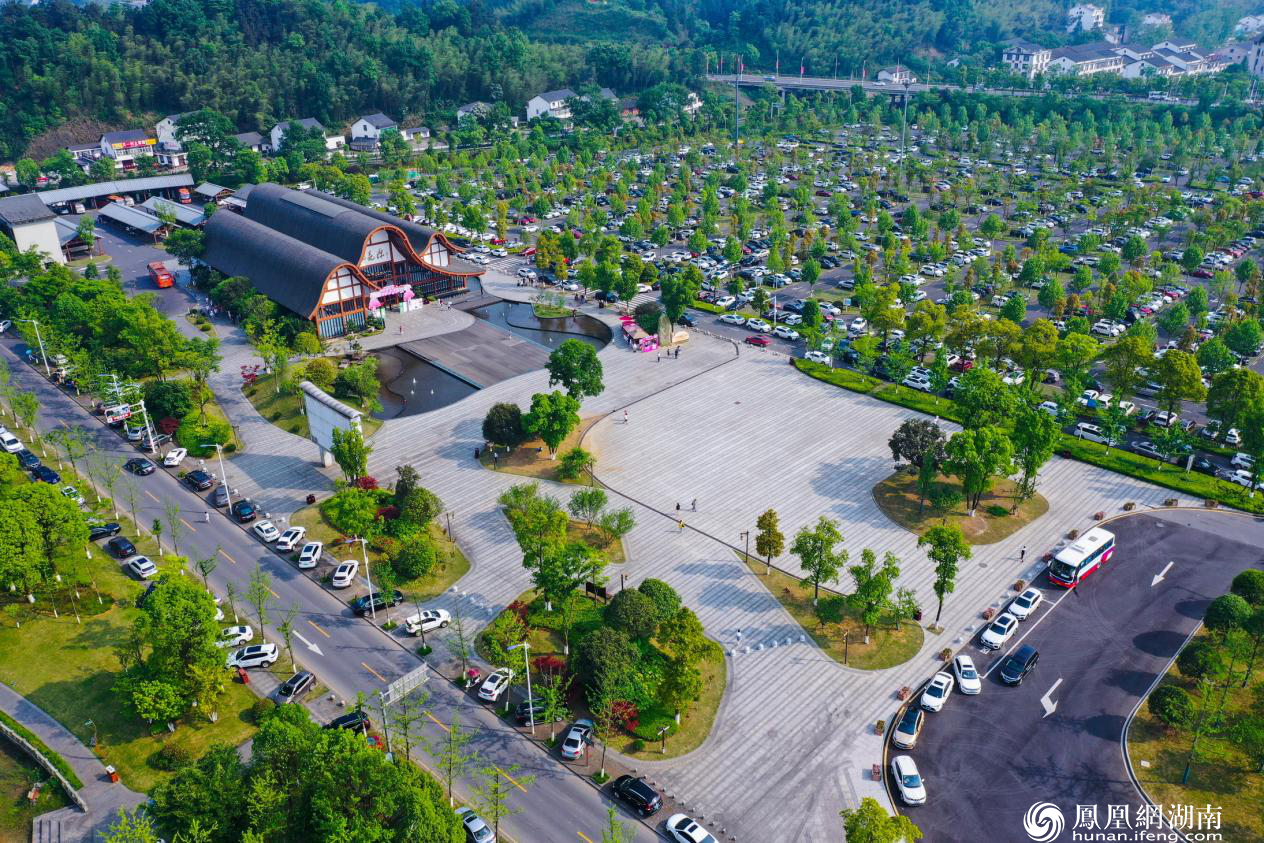 游客中心停车场停无虚位