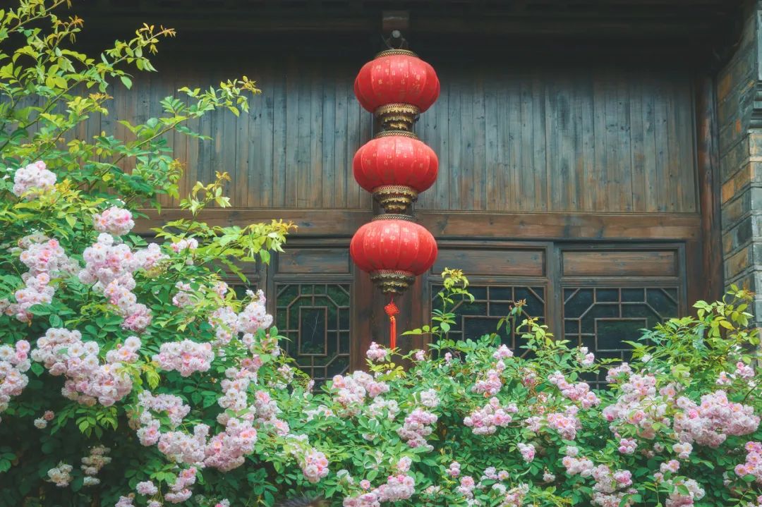 入夏的南京,究竟是什么神仙城市?