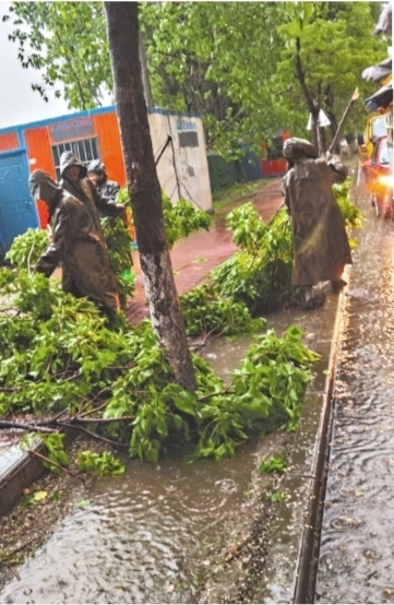 园林部门工作人员冒雨排查道路倒树、断枝，疏通排水。