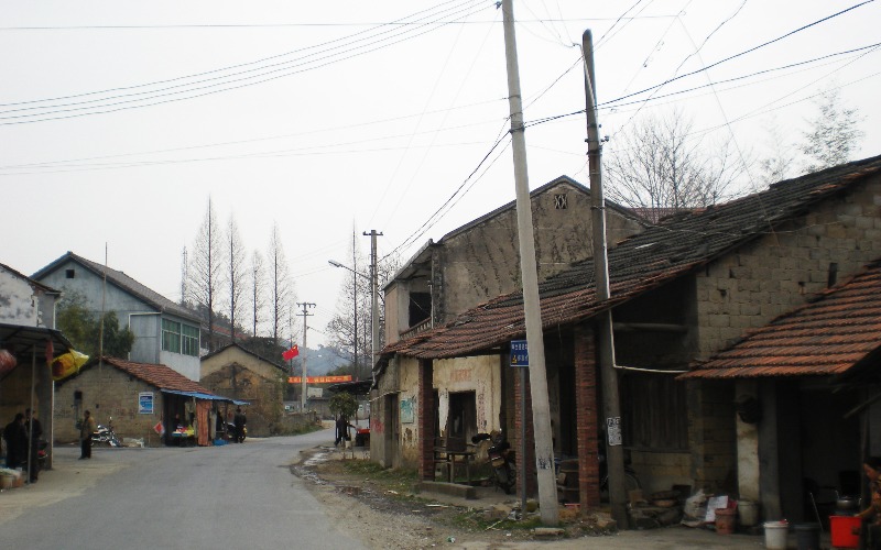 2011年的鲁家村村委会门口 （鲁家村村委会供图）