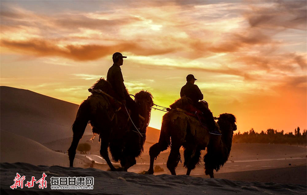 5月6日，游客骑骆驼在夕阳下畅游鸣沙山，欣赏大漠风光，体验丝路风情。