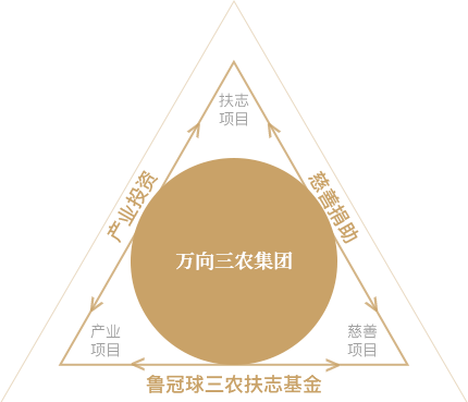 鲁冠球三农扶志基金运作结构