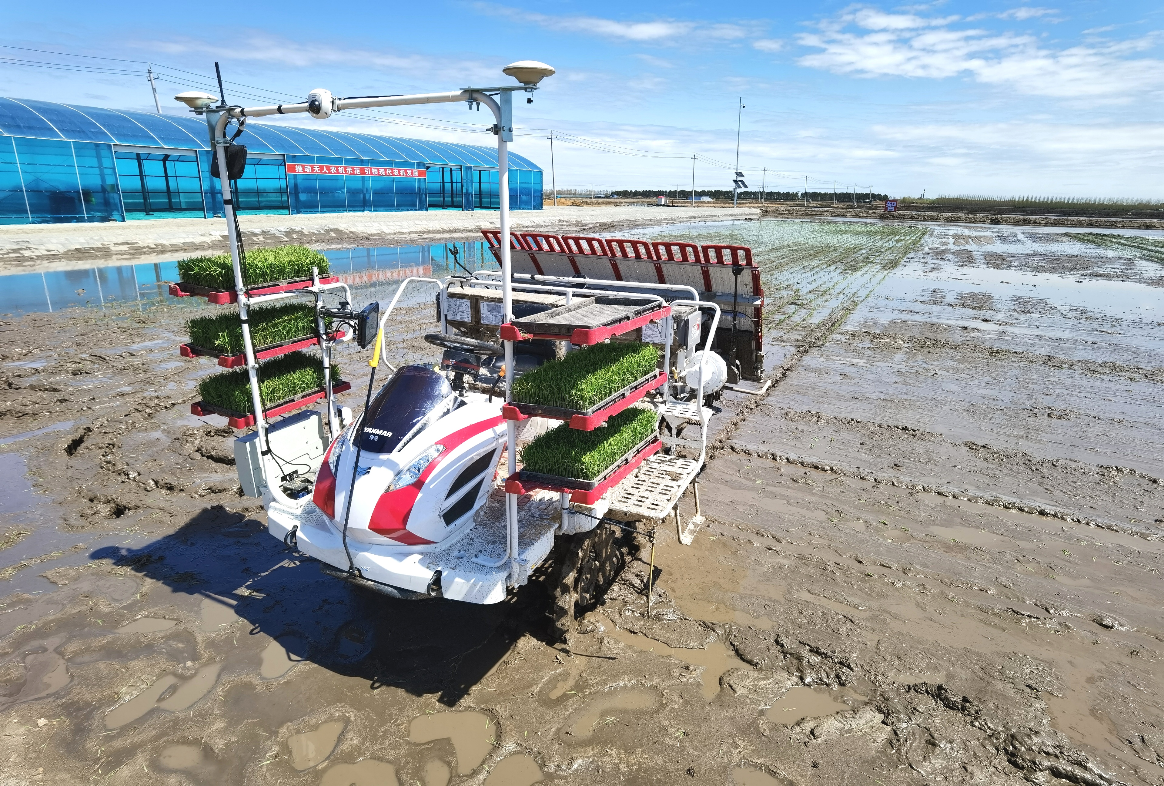 全程"无人化"!来看北大荒集团3600亩示范区插秧作业凤凰网黑龙江_凤凰