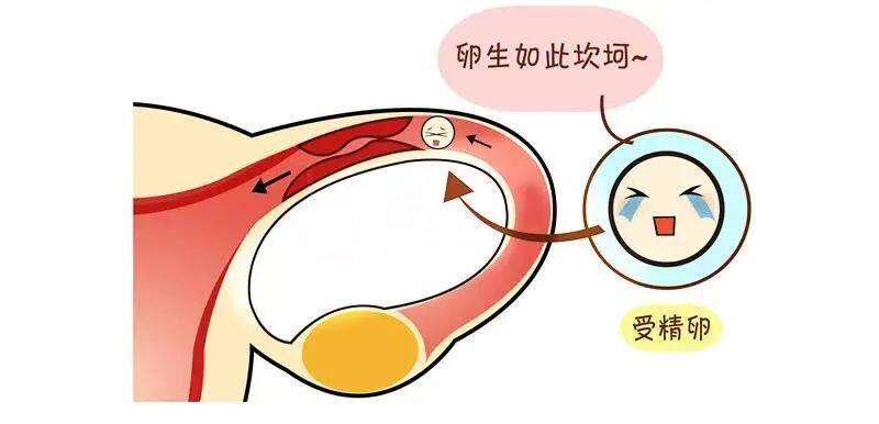全国第三代试管排名（北京家恩德运医院提醒你关注自己的输卵管“它”出问题会导致试管移植失败）