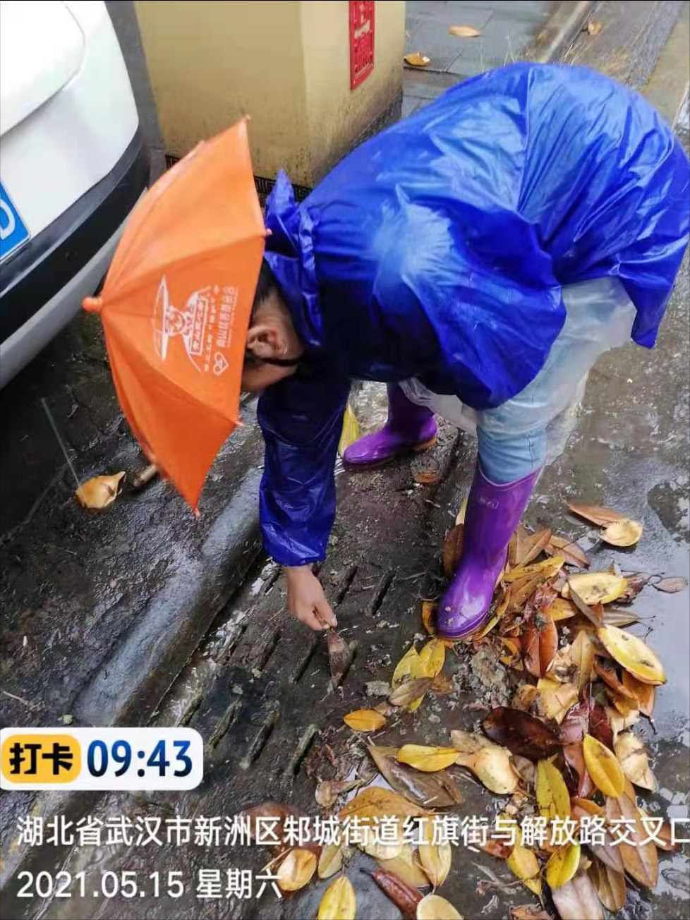 闻令而动 冒雨而行 市区城管部门全员上路积极应对极端天气 恢复城市环境秩序