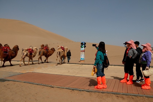 2021年5月3日，甘肃省敦煌市鸣沙山月牙泉景区的交通信号灯“绿骆驼灯”亮时，农户牵着骆驼有序通过。