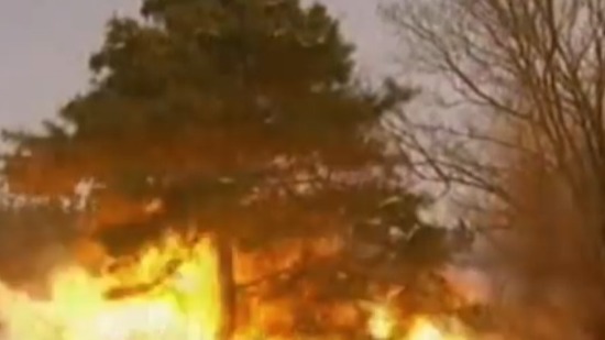 中共合江军区杨清海的公开叛变，使得东北匪患变得更加扑朔迷离