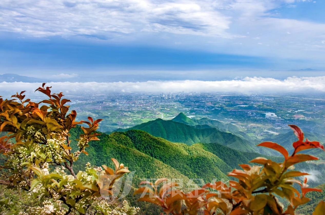 what?本周六这群人竟要在金华北山上从天亮跑到天黑