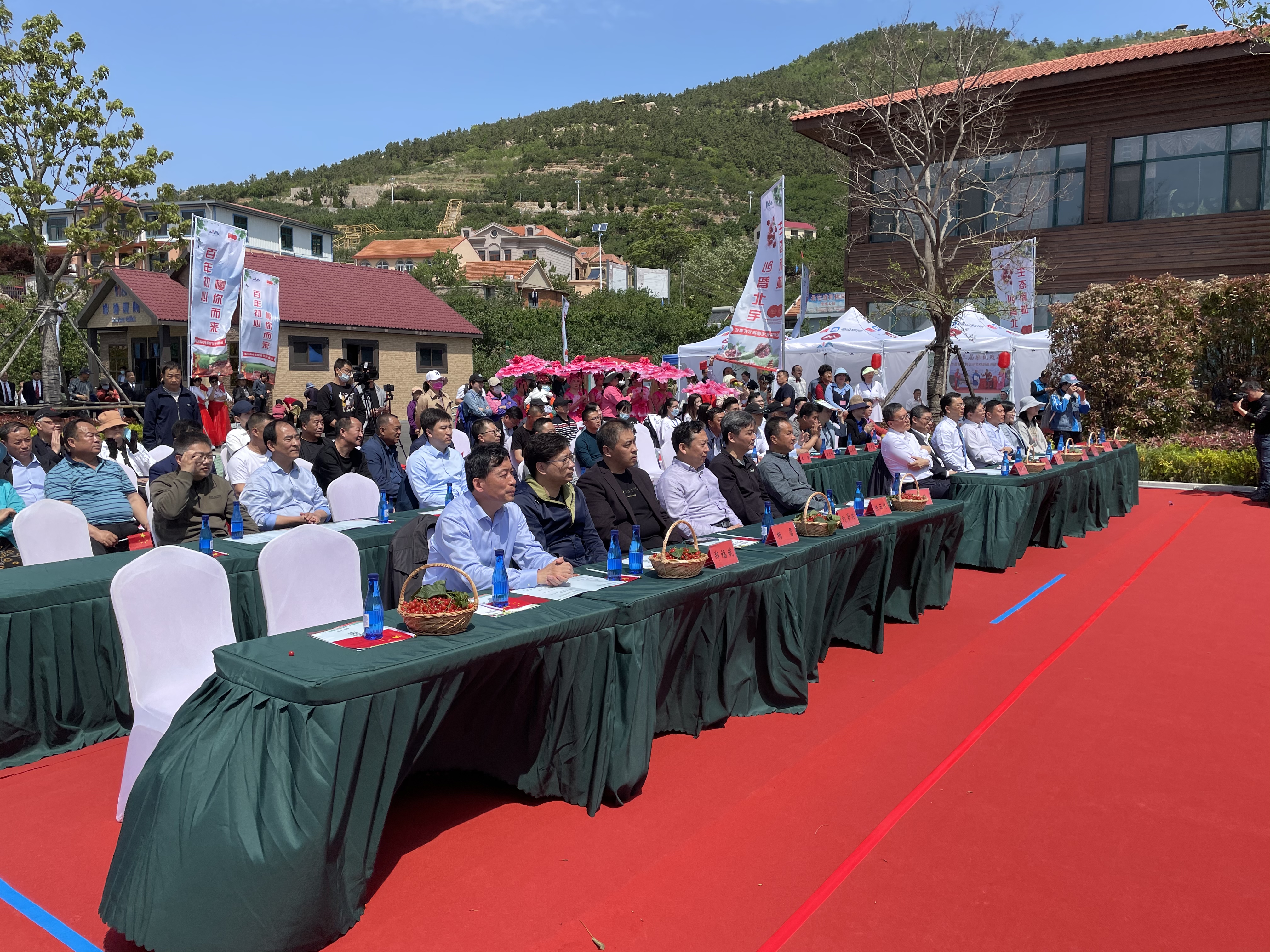 百年初心樱你而来第26届北宅樱桃节正式开幕