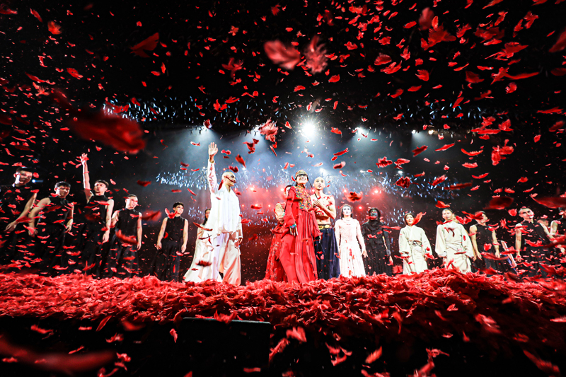 今日开票！杨丽萍舞蹈剧场《十面埋伏》即将登陆石家庄大剧院