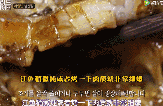 △ 莫利炖鱼。图by 美食综艺《街头大胃王》