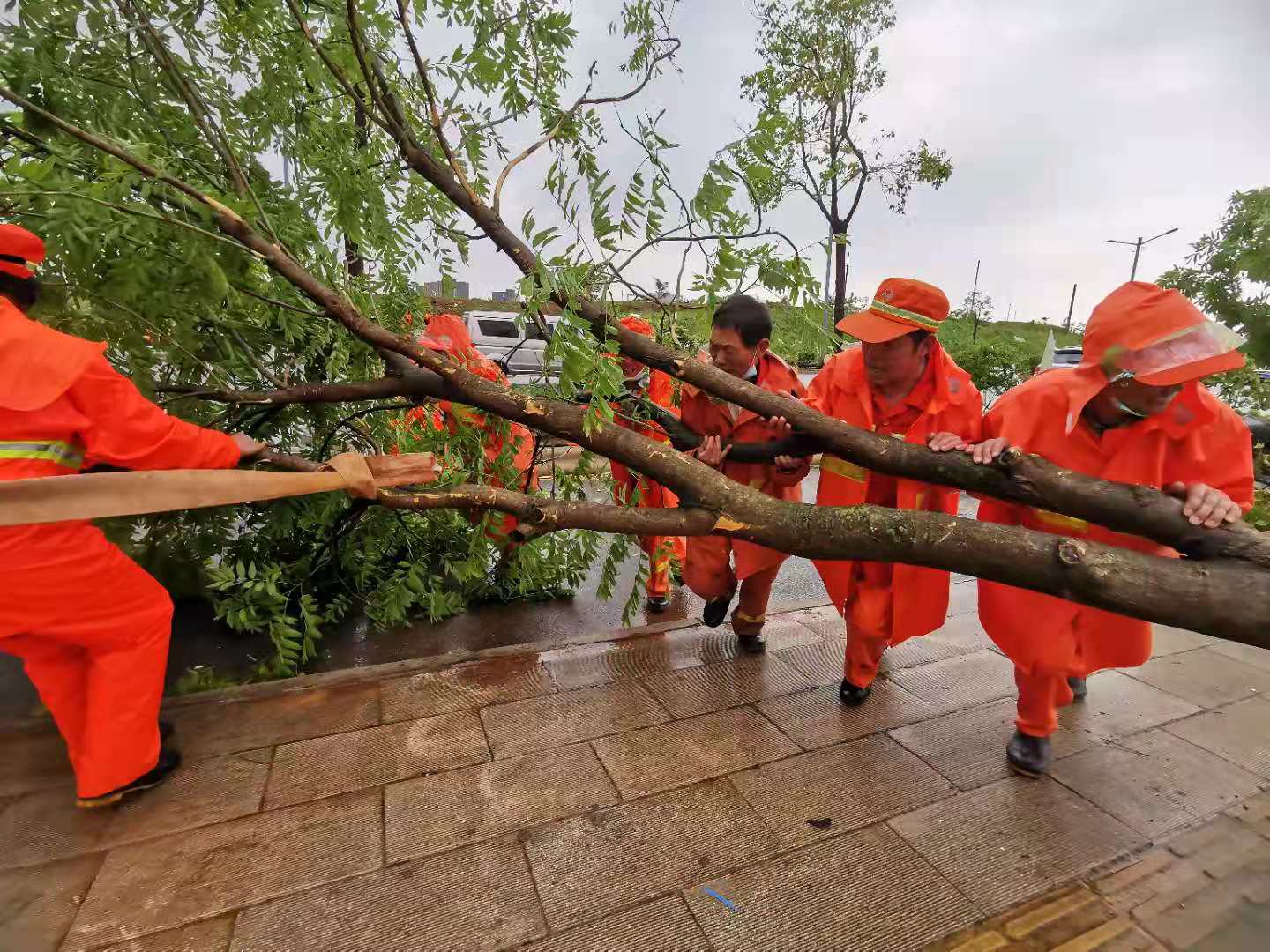 闻令而动 冒雨而行 市区城管部门全员上路积极应对极端天气 恢复城市环境秩序