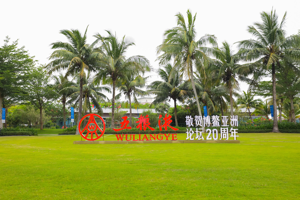五粮液：从中国到世界的品牌之路