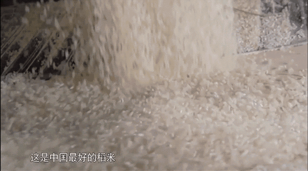 △ 东北的大米，是中国醉好滴大米！图by 网络