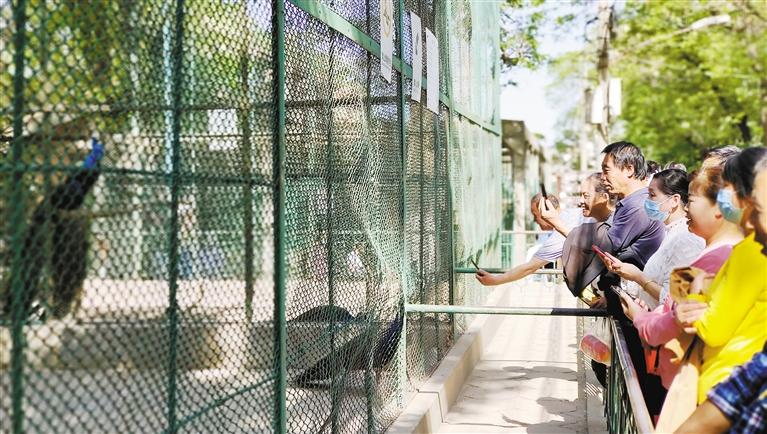 众多市民前往兰州市动物园参观