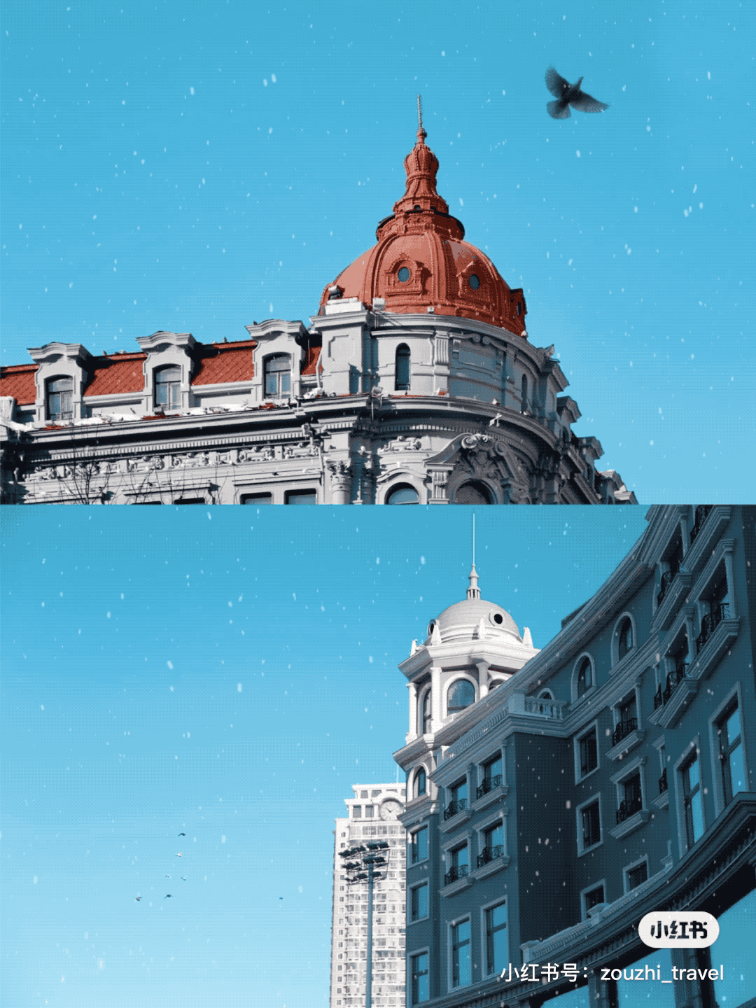 △ 中央大街。图by 小红书“zouzhi_travel”