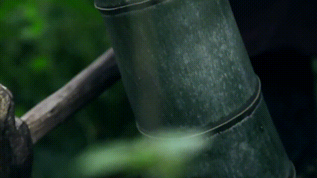 甘肃8万多枚简牍无声有言 讲述千年前古丝路万千故事