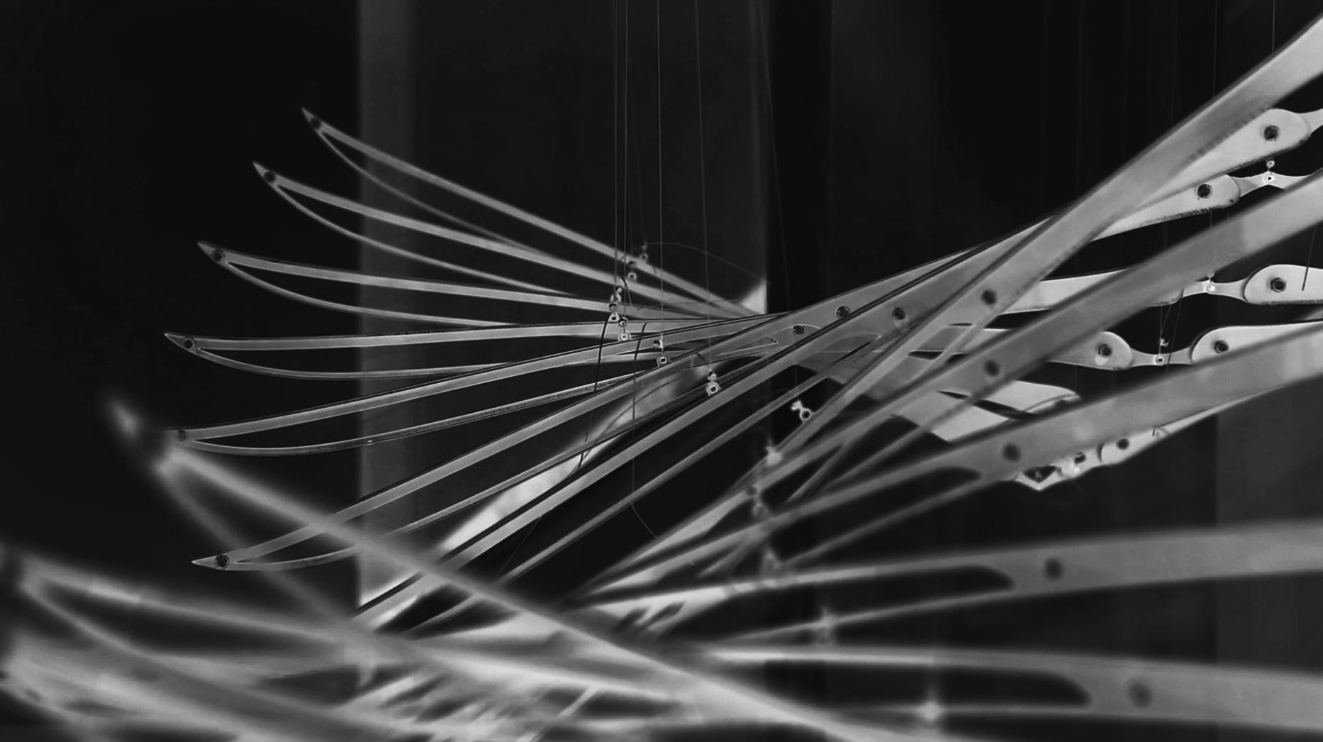 万千今昔待往来丨新高尚美学艺术展沈阳站即将开幕