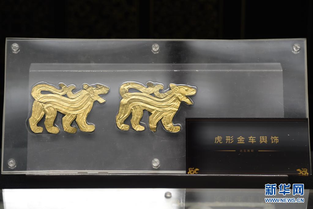 出土于马家塬西戎墓葬的虎形金车舆饰（5月18日摄）