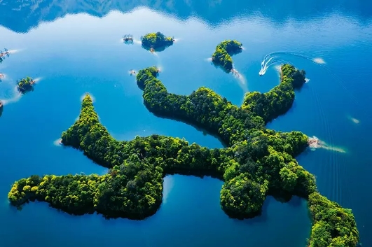 思路在前 黄山太平湖的绿色发展之路