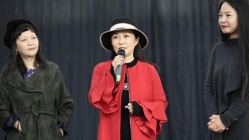 歌手程琳回忆往事：我想用音乐说出内心的话