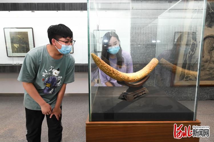 2021年5月18日，参观者在位于石家庄新乐市的河北美术学院美术博物馆参观。通讯员 贾敏杰 摄影报道