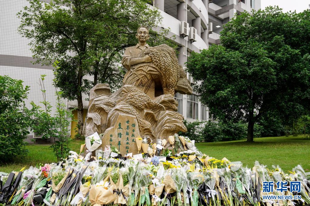 5月22日,西南大學袁隆平雕塑前擺放著師生們敬獻的鮮花.