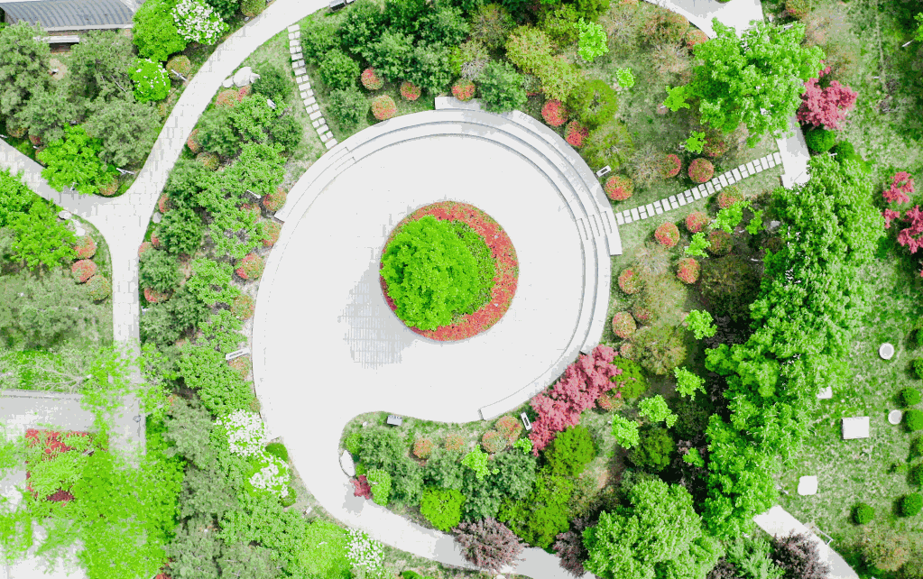 多个功能区营造城市森林意境