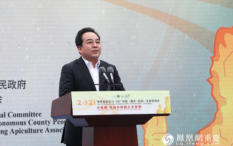 重庆市委常委、宣传部部长张鸣宣布开幕