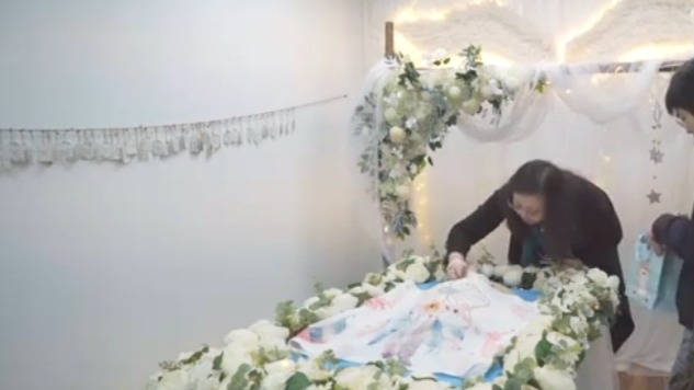 彩虹星球：和宠物告别