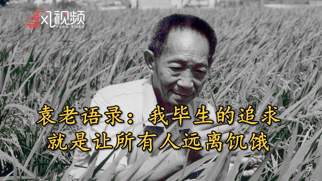 时代脊梁袁隆平离世，回顾中国布“稻”者的传奇一生