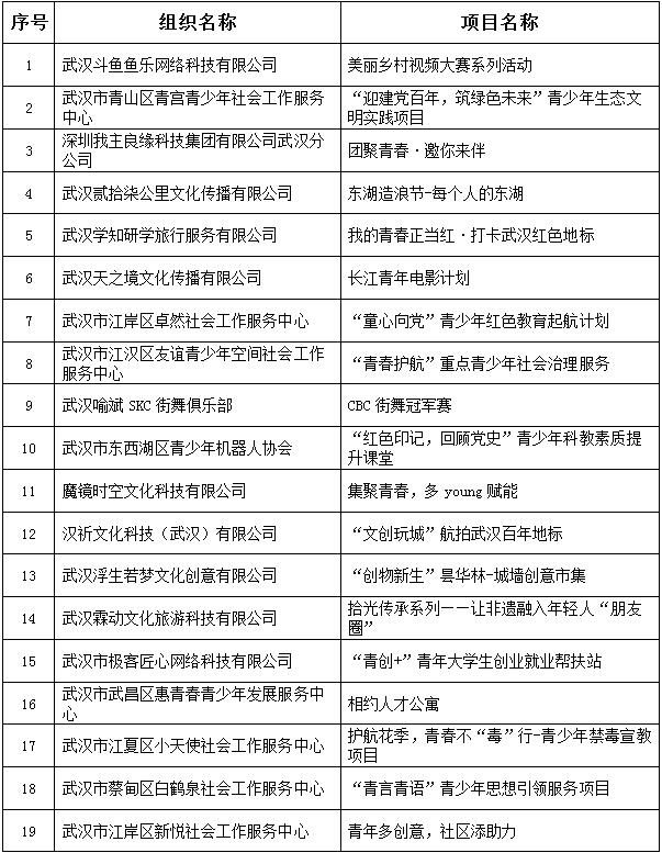 2021年武汉市“出彩青春”公益创投大赛项目初评结果公示