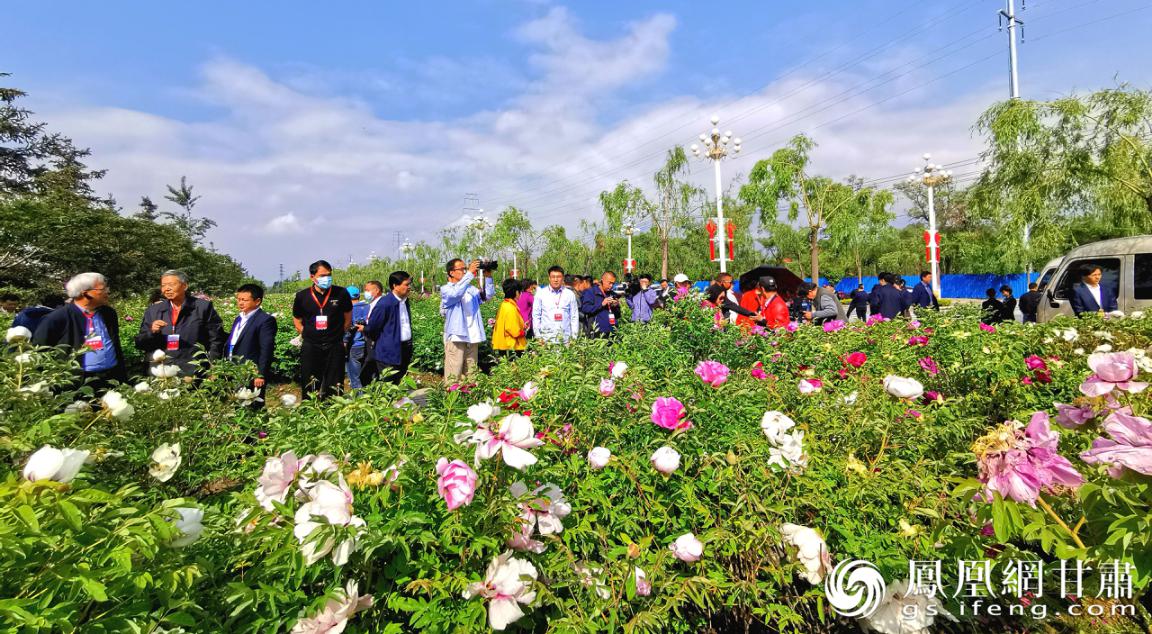 与会专家学者、花卉行业领军人物等组团考察临夏市六十里文化牡丹长廊 陈功章 摄