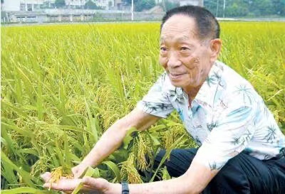 袁隆平：稻田守望者