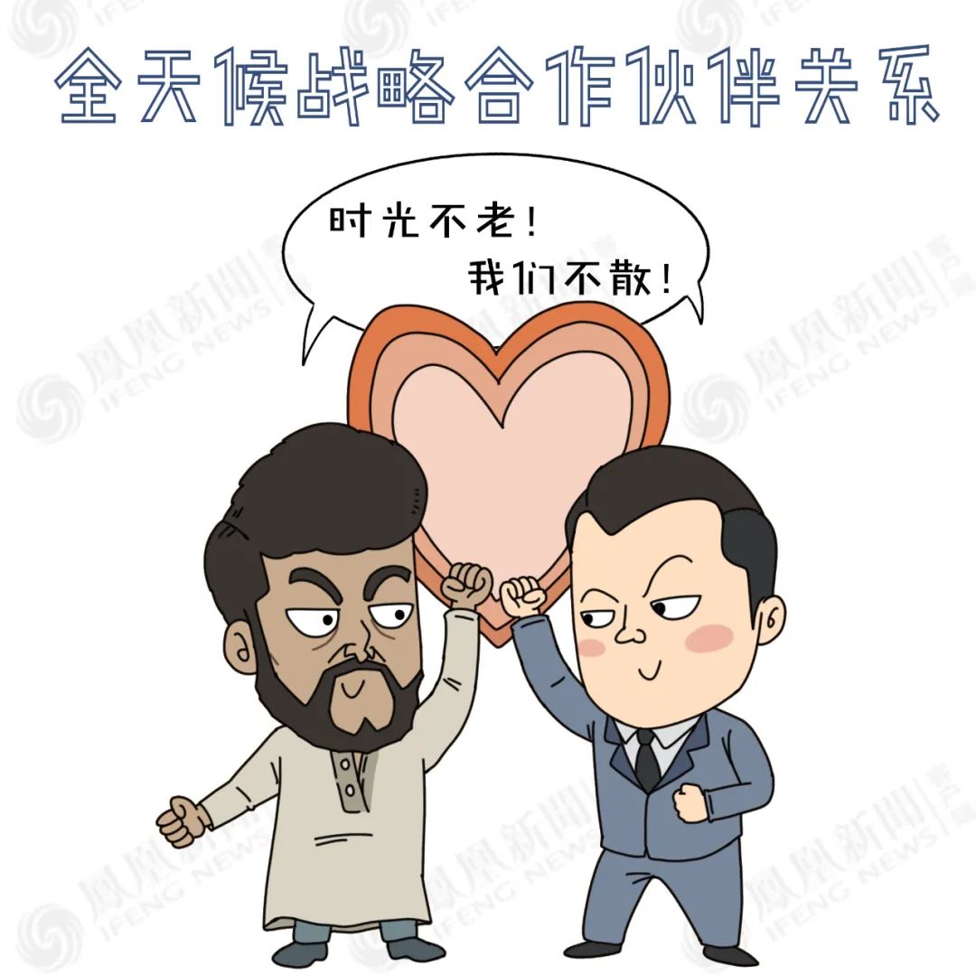 中巴建交70年,美国"巴铁"是怎样变成中国"巴铁"的?|大鱼漫画