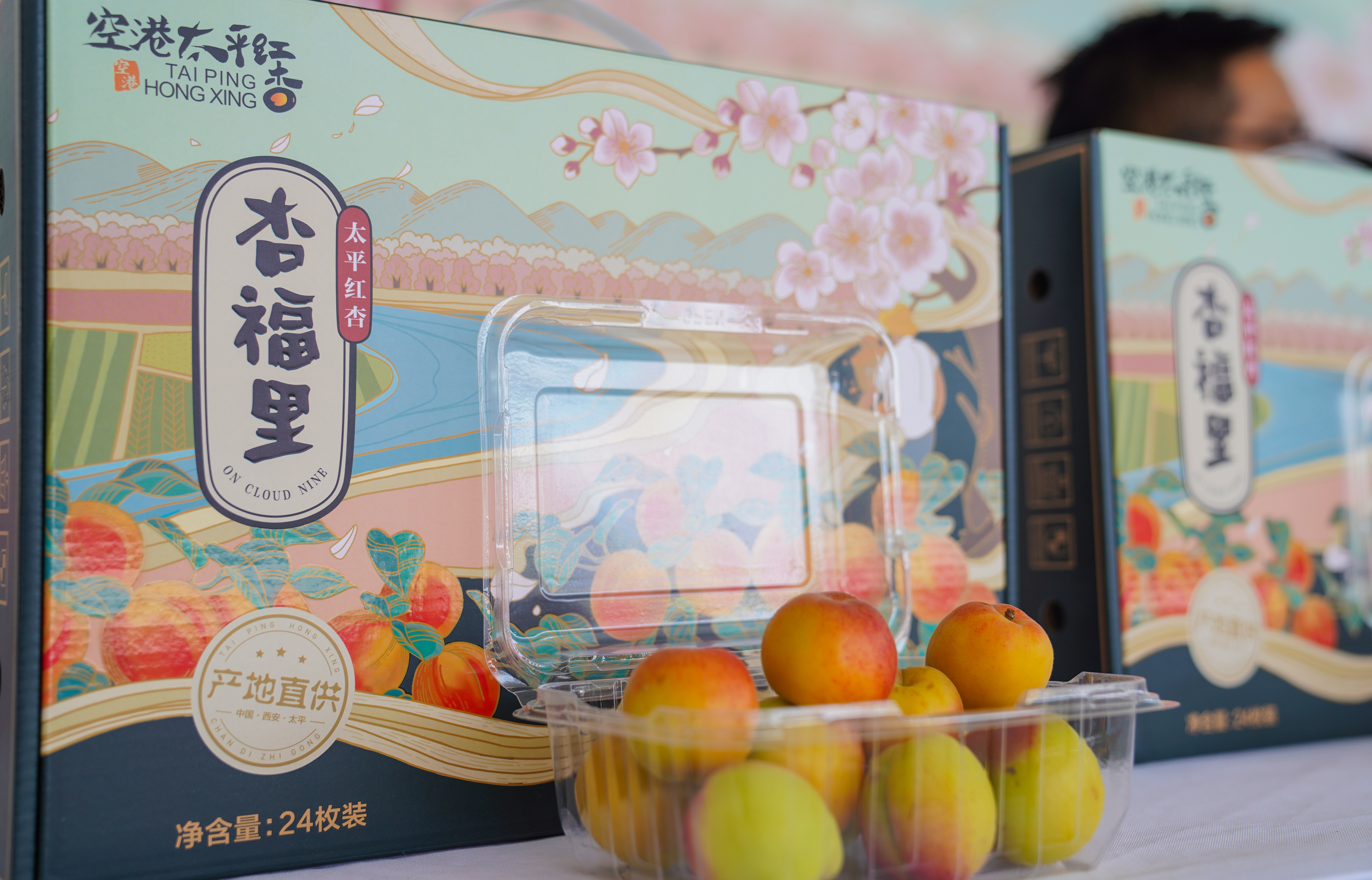 黄灿灿、红彤彤的杏果